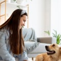 Which Merv Rating is Best for Pet Dander?