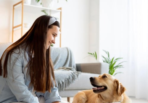 Which Merv Rating is Best for Pet Dander?